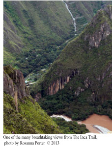 Machu Picchu Trail View